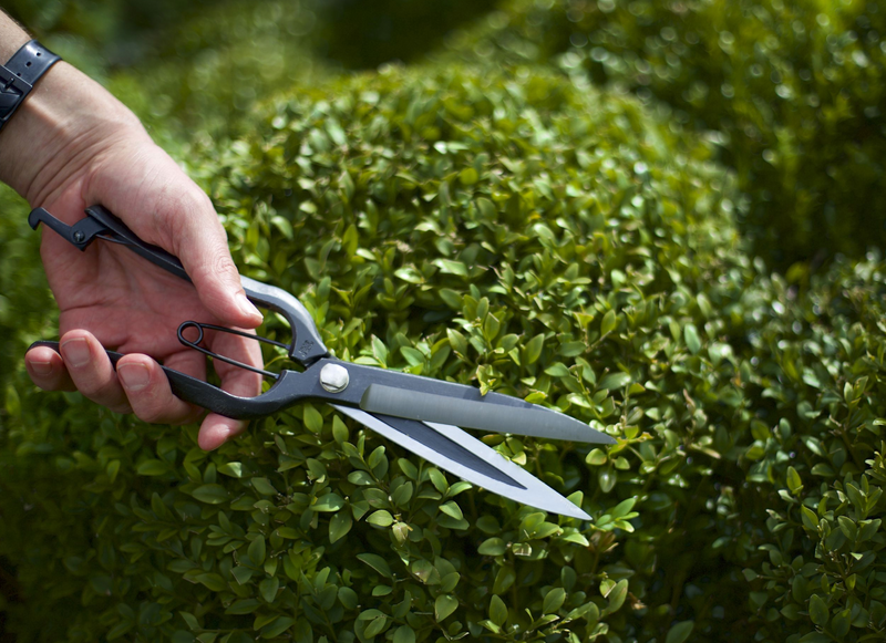 Cisailles & outils de coupe Niwaki
