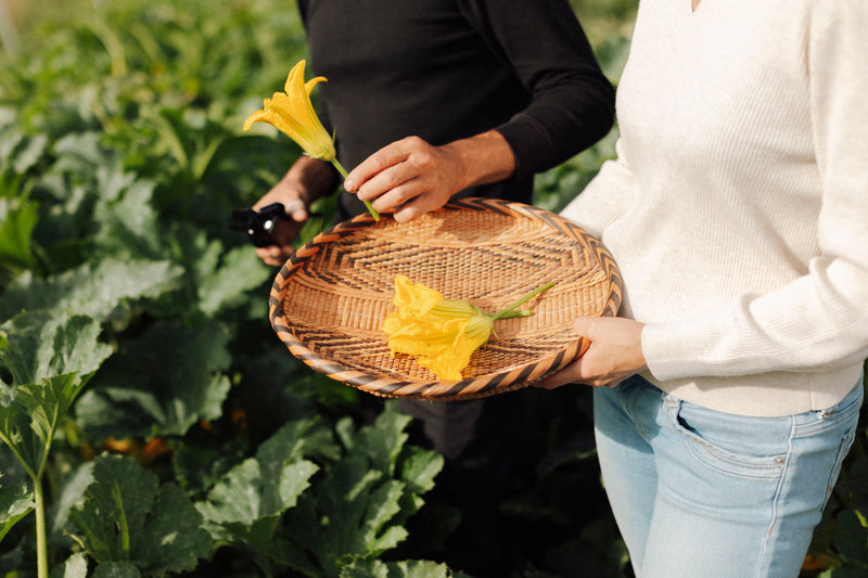 Produits Hautes Cultures