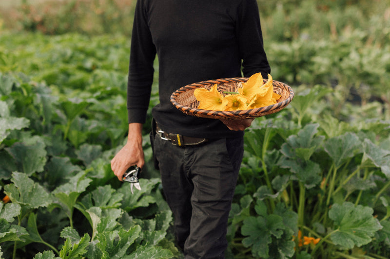 Légumes et fleurs Hautes Cultures