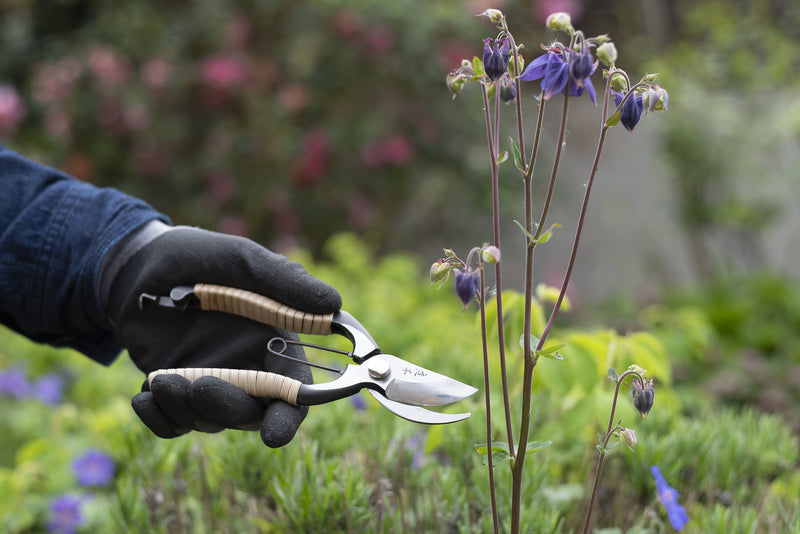 Cisailles & outils de coupe Niwaki