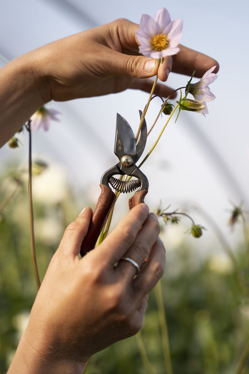 L'art du jardinage