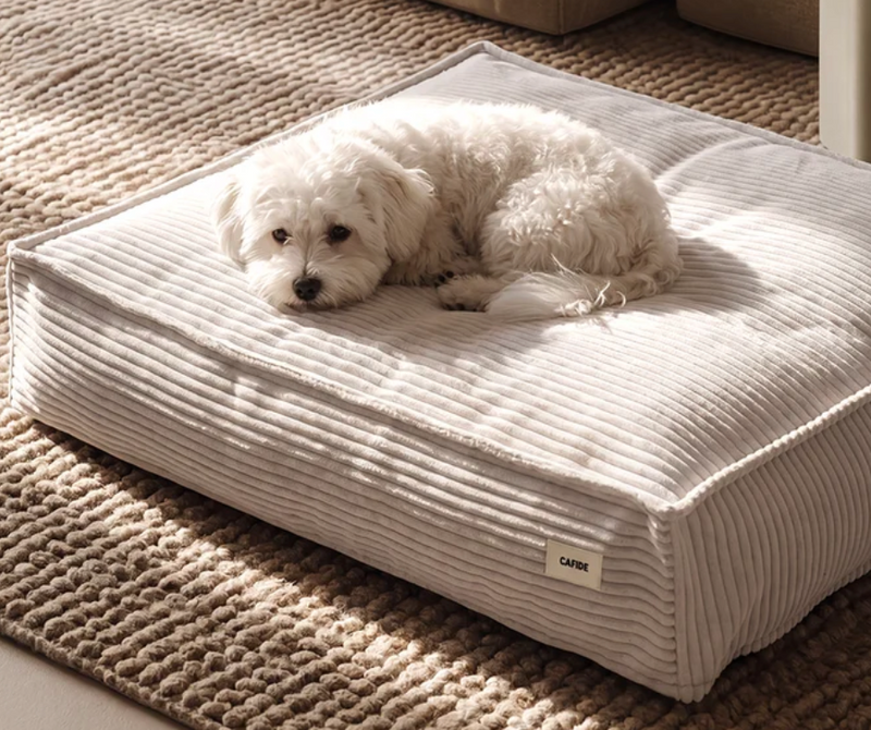Accessoires & soins pour chiens