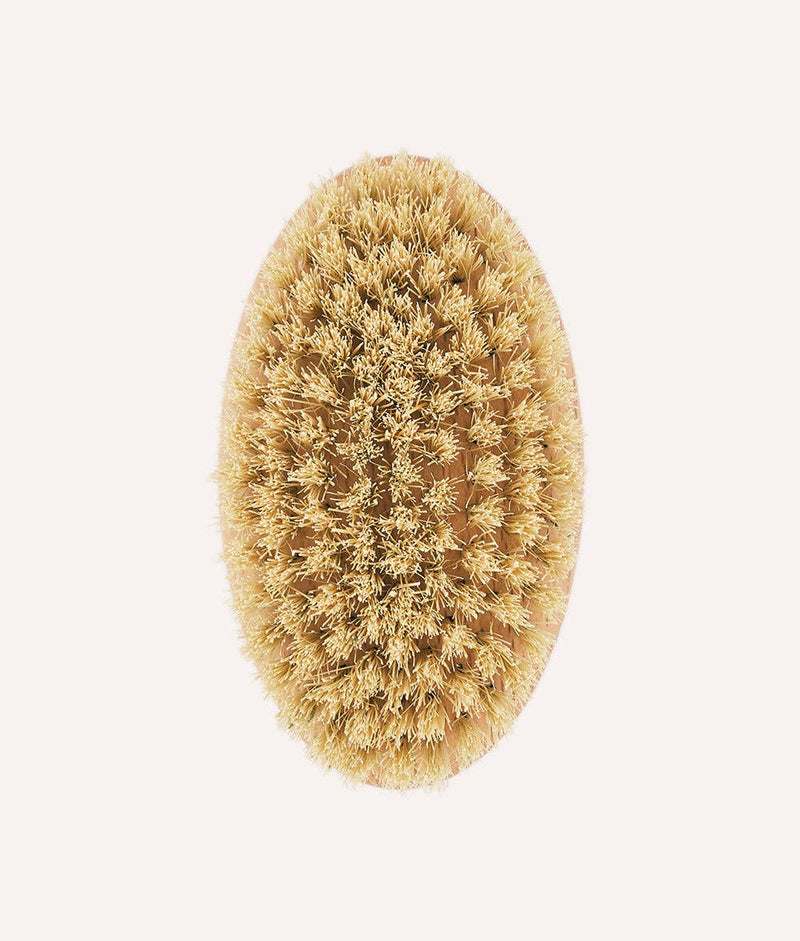 Brosse pour chien à poil court Teo