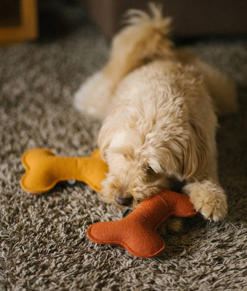Jouet pour chien en forme d’os, doux et écologique