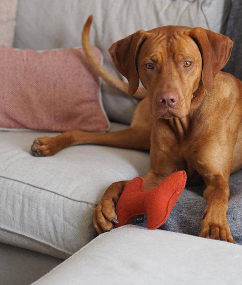 Jouet pour chien en forme d’os, doux et écologique