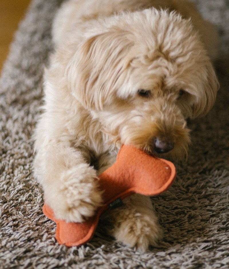 Jouet pour chien en forme d’os, doux et écologique