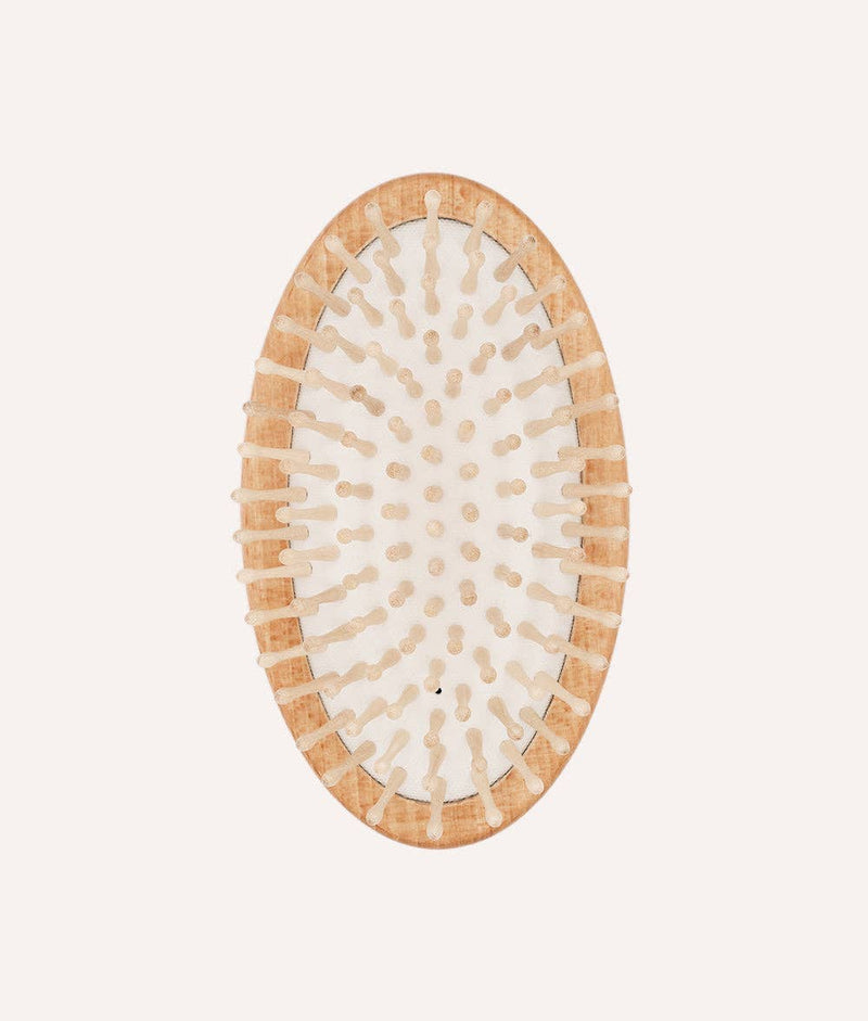 Brosse de massage pour chien Teo