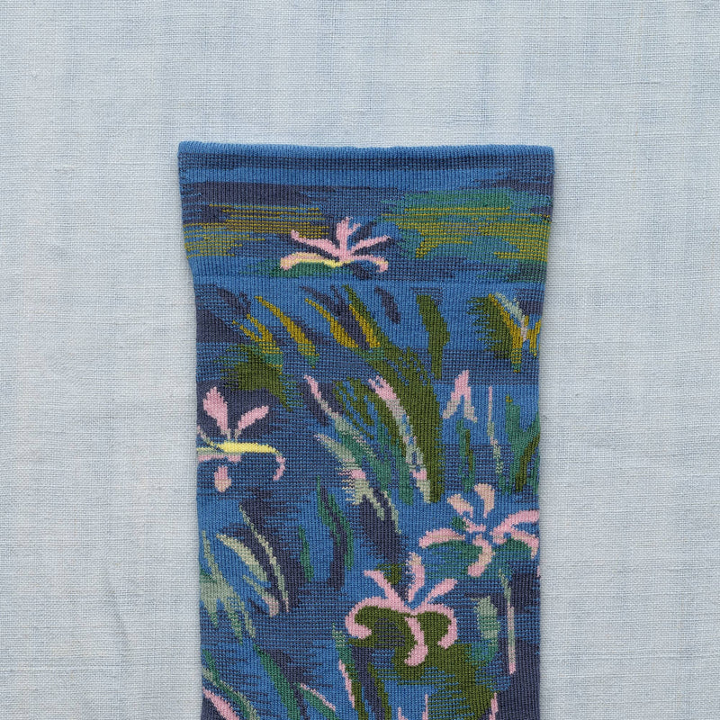 Livre Claude Monet Iris
