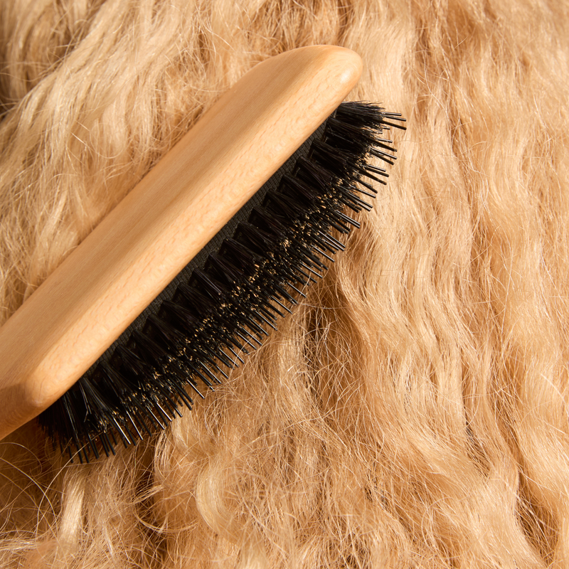 Brosse Pneumatique Paddy - Poils de Sanglier et Picots Nylon