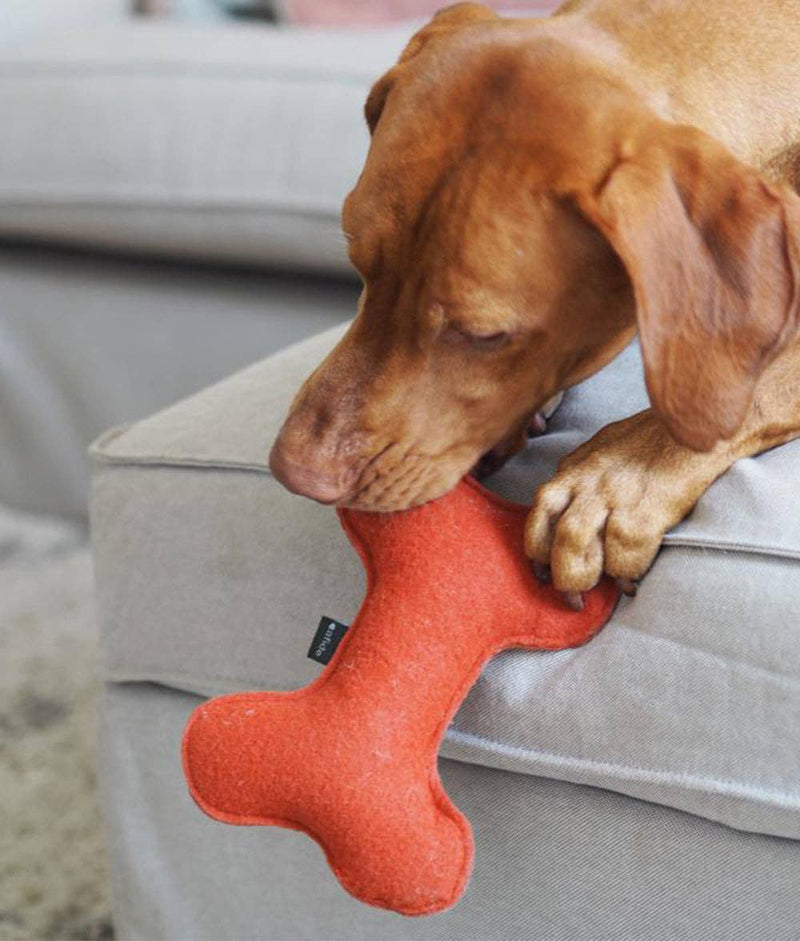 Jouet pour chien en forme d’os, doux et écologique