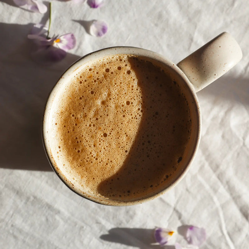 Chicorée bio au Cacao - Grand Cru - Hautes Cultures