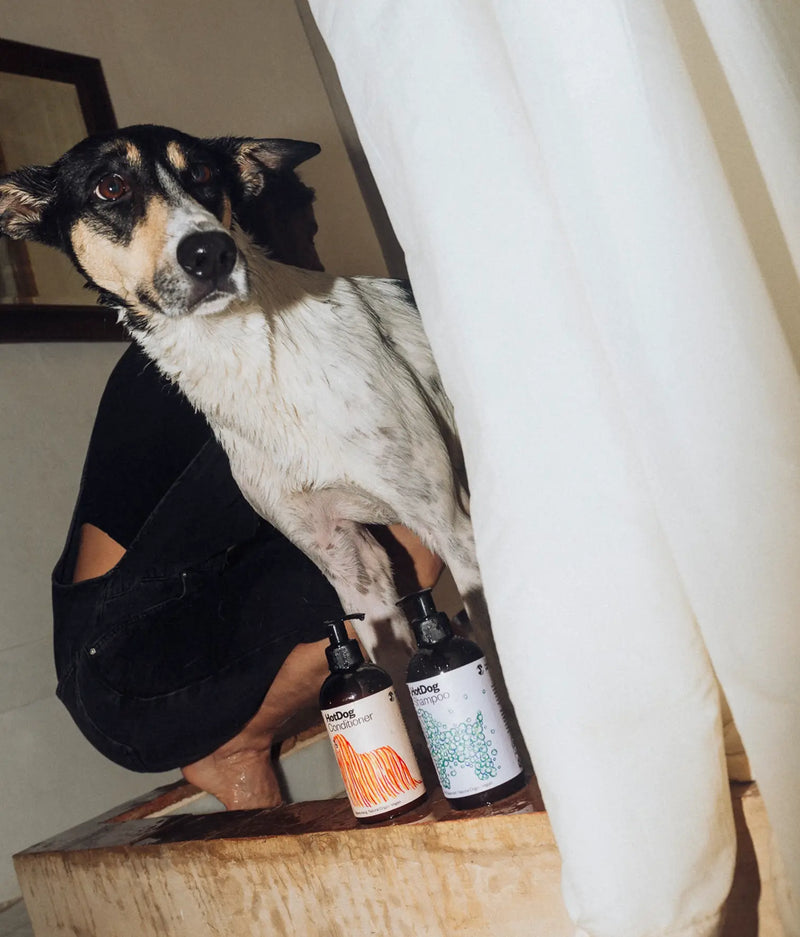 Après-shampoing vegan pour chien
