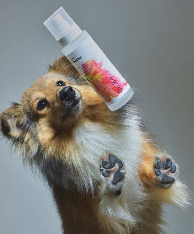 Dog Mist - Minuit 00.00 x HotDog