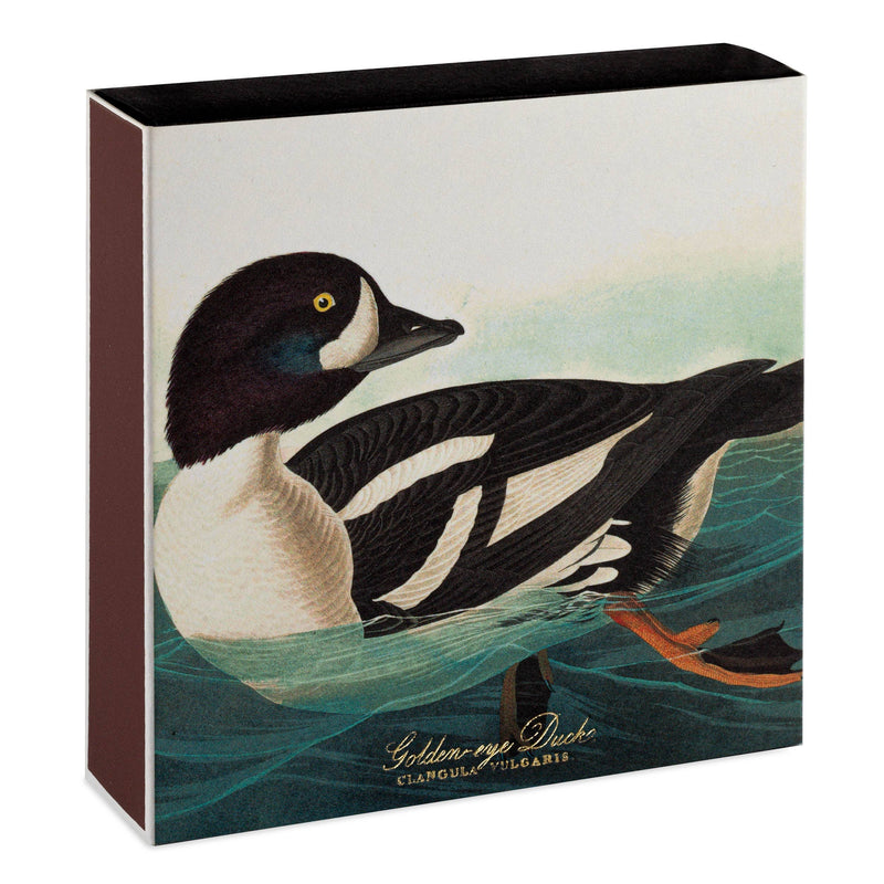 Canard à œil d’or par Audubon - Allumettes de sûreté carrées