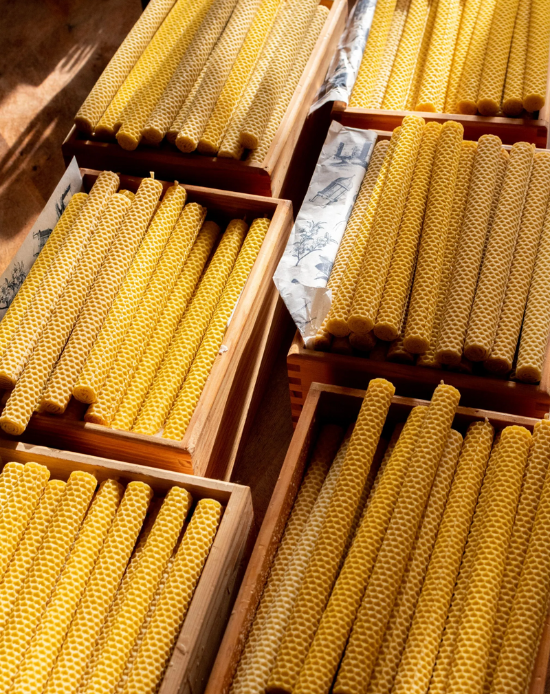 Lucienne - boîte de 9 bougies en cire d'abeille véritable - Hautes Cultures