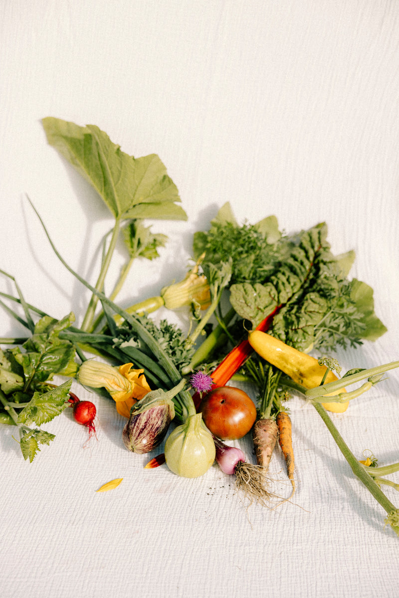 Le coffret légumes Treat yourself - Hautes Cultures
