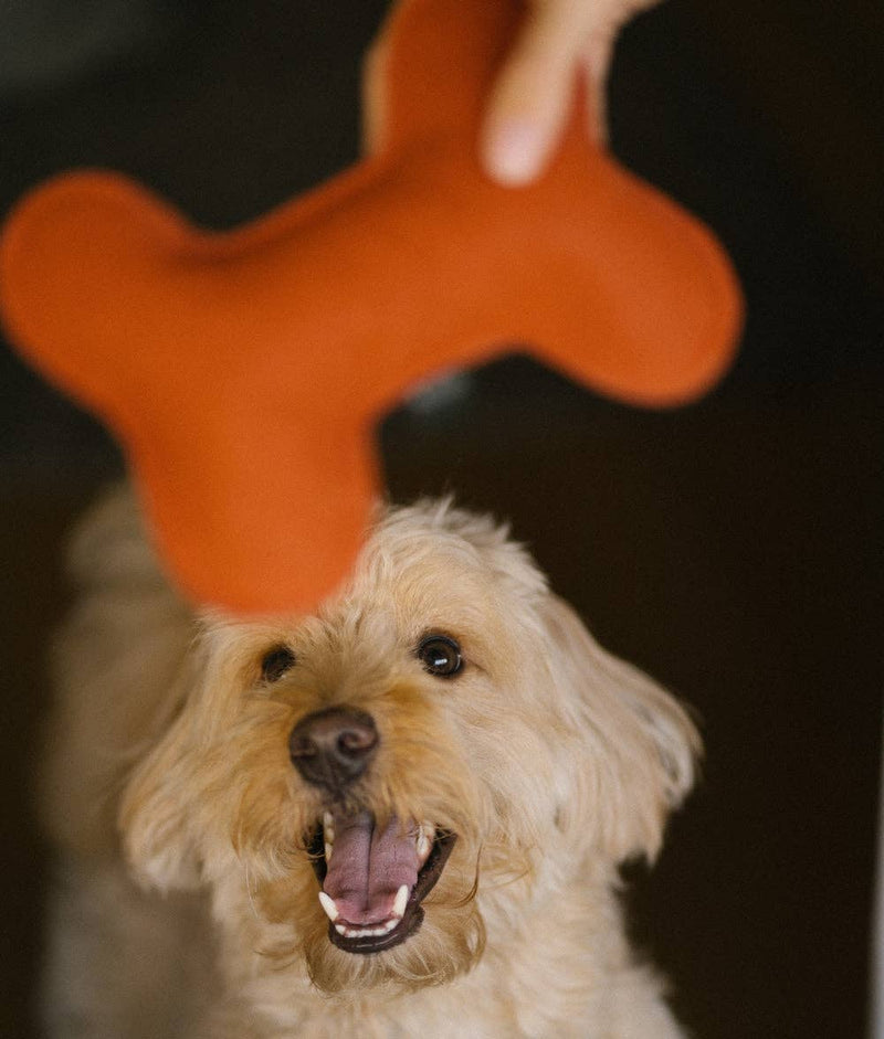 Jouet pour chien en forme d’os, doux et écologique
