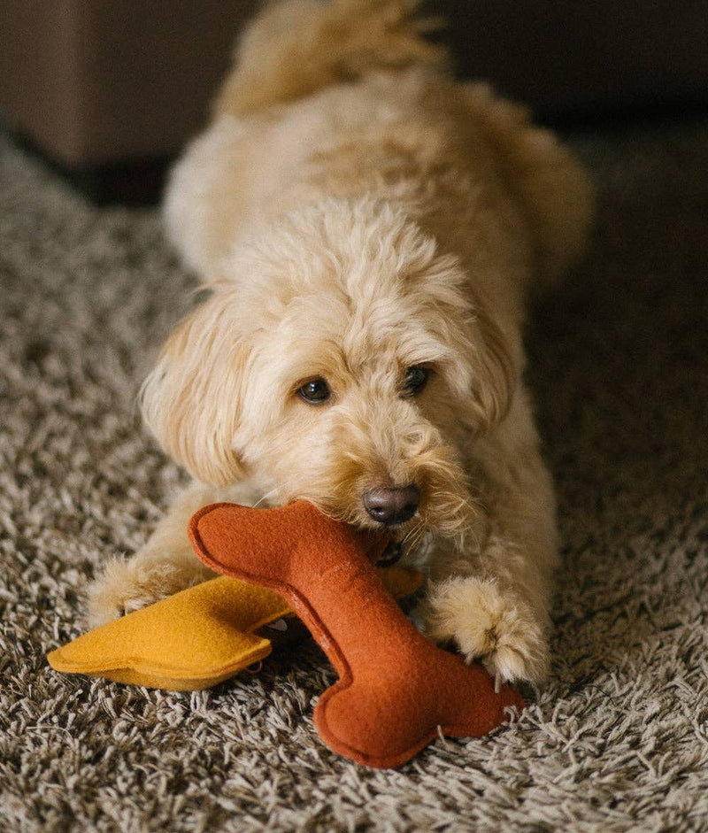Jouet pour chien en forme d’os, doux et écologique