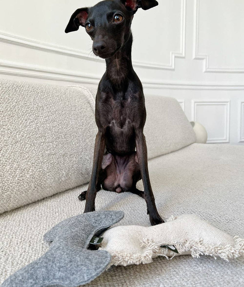 Jouet pour chien gris en forme d’os