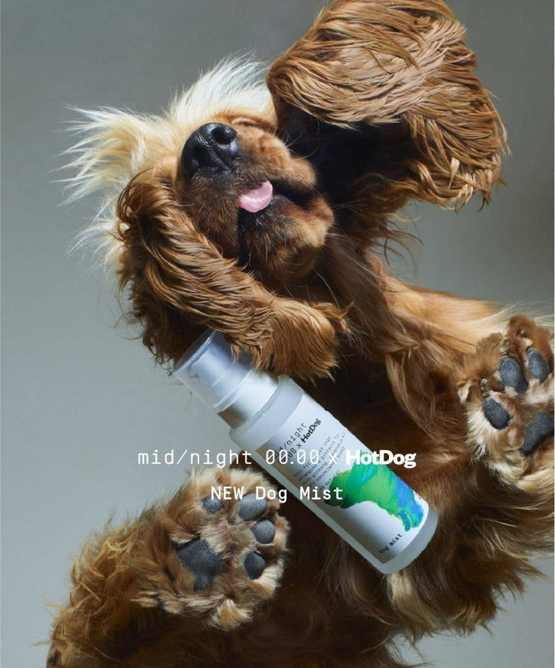 Dog Mist - Minuit 00.00 x HotDog
