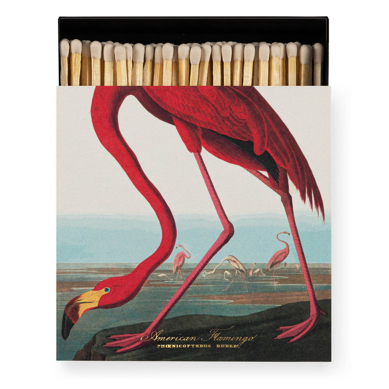 Le Flamant des Caraïbes | Carré - Allumettes de sécurité