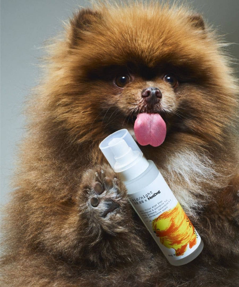 Dog Mist - Minuit 00.00 x HotDog