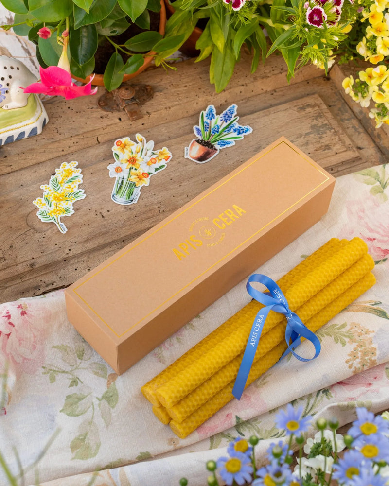 Lucienne - boîte de 9 bougies en cire d'abeille véritable - Hautes Cultures