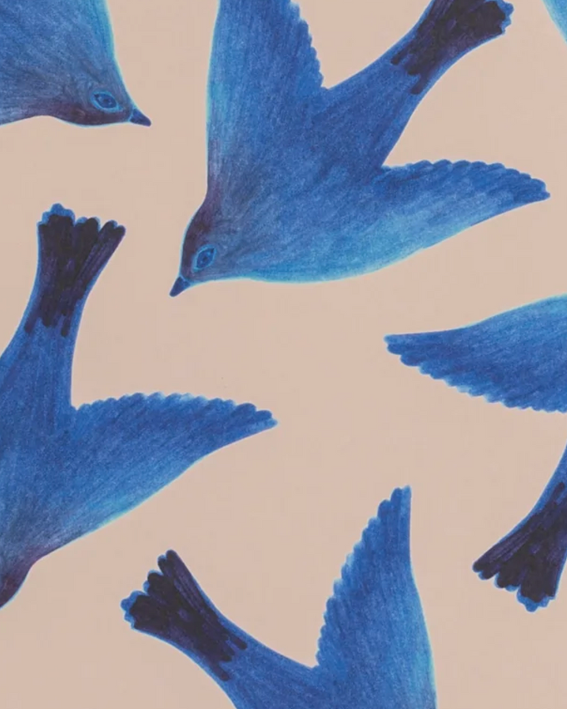 Journal L'oiseau